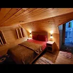 Bujtina Pllumi