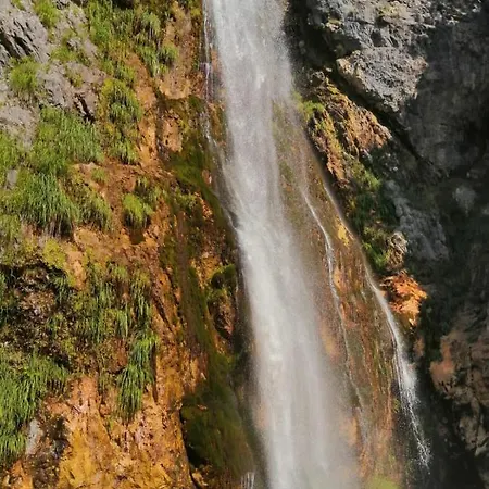 Bujtina Pllumi * Theth