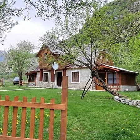 Bujtina Pllumi