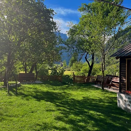 Bed & Breakfast Bujtina Pllumi Theth