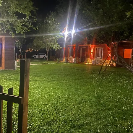 Bujtina Pllumi 세스
