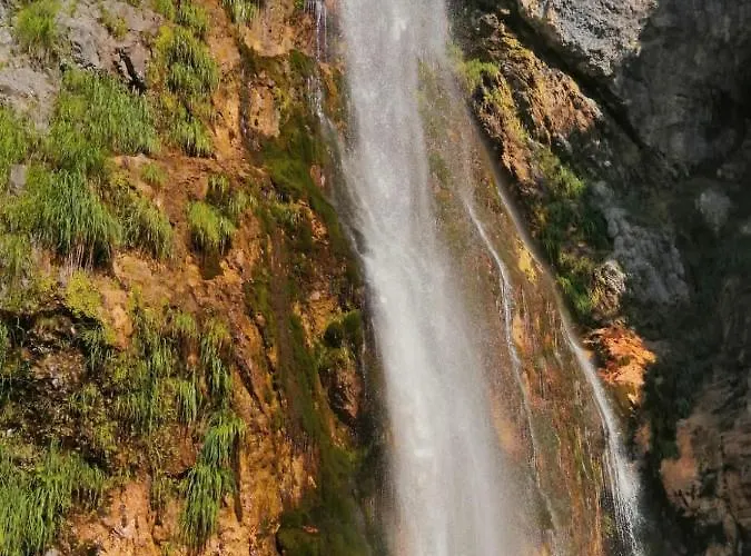 Bujtina Pllumi 3* Theth