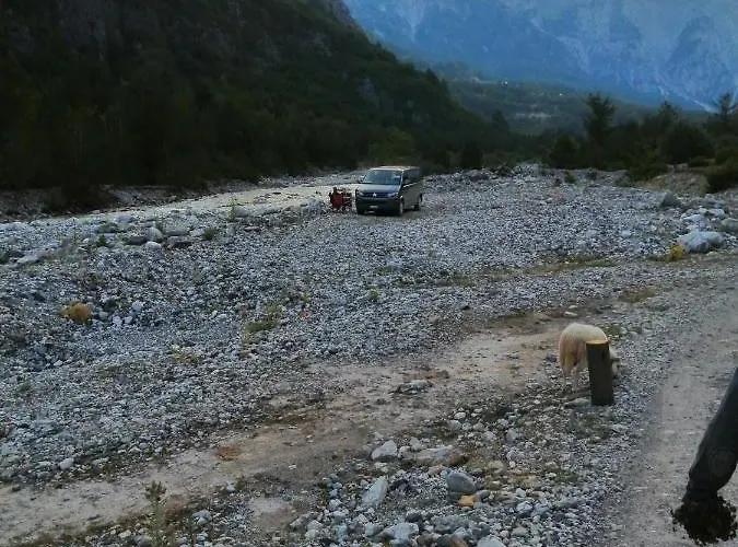 Bujtina Pllumi 3*