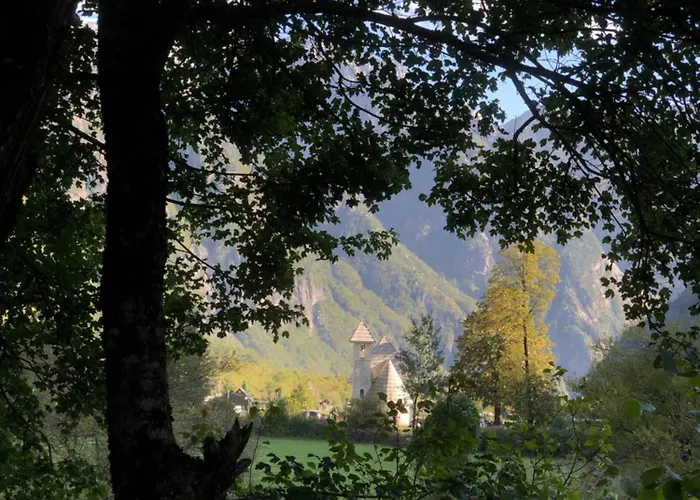 Bujtina Pllumi Theth