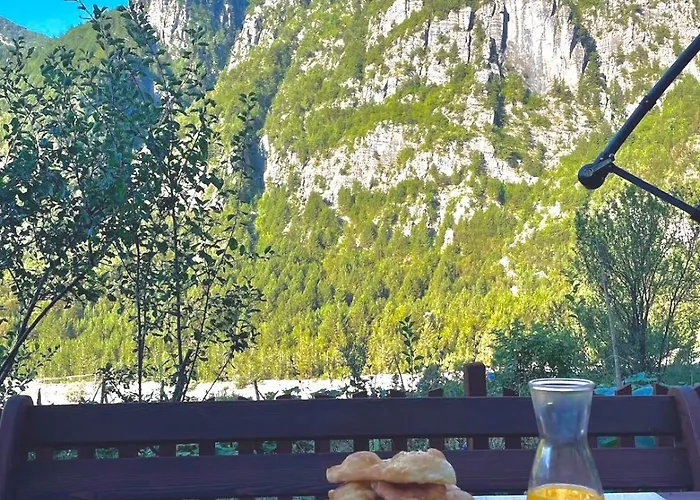 Bujtina Pllumi
