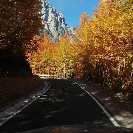 לינה וארוחת בוקר Bujtina Pllumi