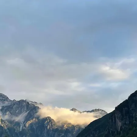 לינה וארוחת בוקר Bujtina Pllumi