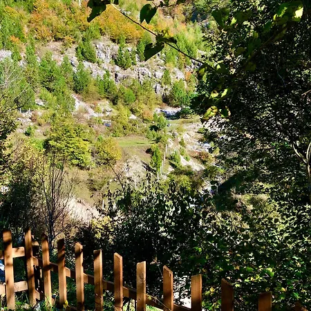 Bujtina Pllumi Bed & Breakfast