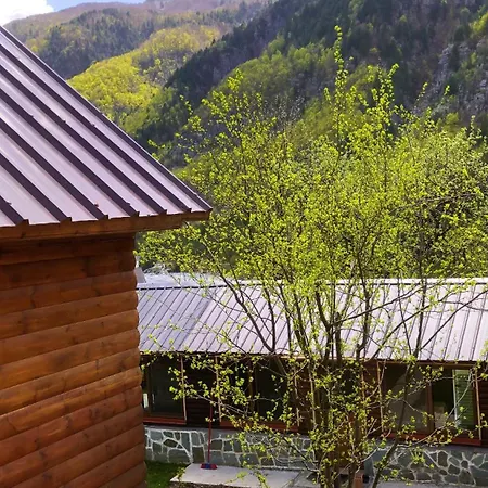 Bed & Breakfast Bujtina Pllumi