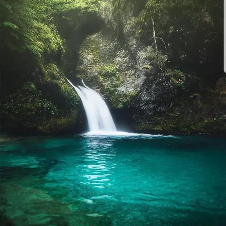 לינה וארוחת בוקר Bujtina Pllumi