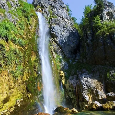 Bed & Breakfast Bujtina Pllumi 3*