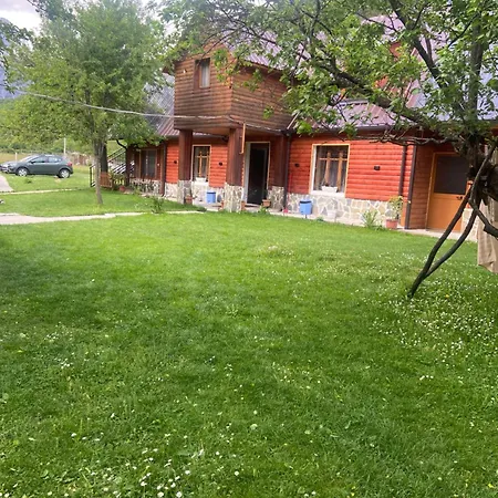 Bujtina Pllumi 3*