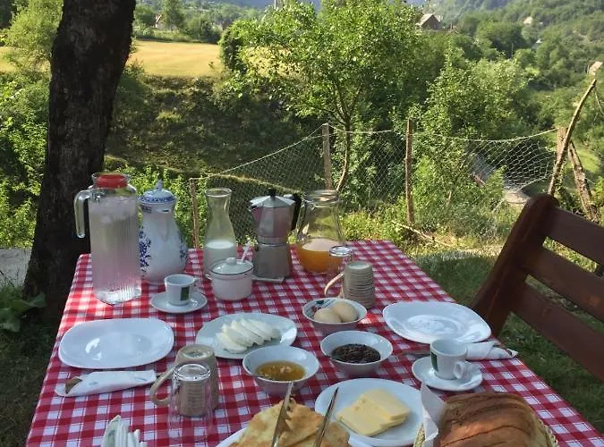 Bujtina Pllumi