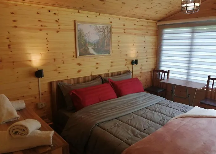 Bujtina Pllumi Bed & Breakfast 3*