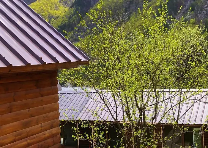 Bed and Breakfast Bujtina Pllumi